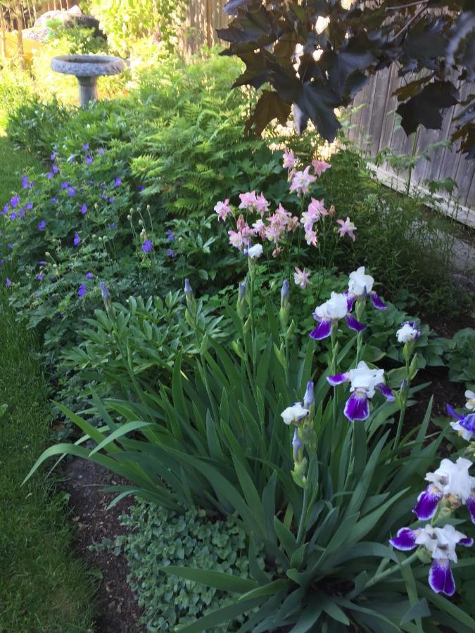 Quiet Resting Place Calgary Luaran gambar